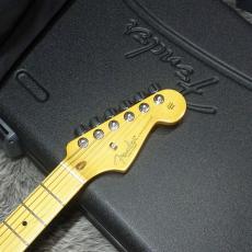 Fender American Professional II Stratocaster MN Roasted Pine_7