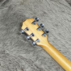 Taylor GS Mini Rosewood_5
