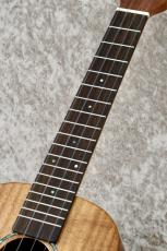 Argus AC-7 【コンサート】【アカシアコア総単板】【町田店】_4