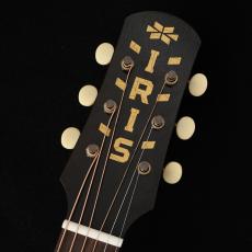 IRIS GUITAR COMPANY 【アウトレット特価!】 The MS-00 Model Relic 【町田店】_3