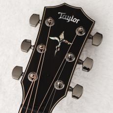 Taylor 【アウトレット特価!】 814ce Special Edition Sapphire 【限定モデル】【現物動画あり】【町田店】_3