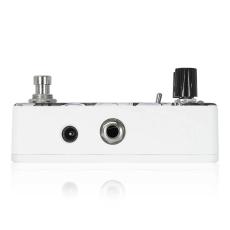 Animals Pedal Custom Illustrated DSMIIF ちゃっぴー #01_2