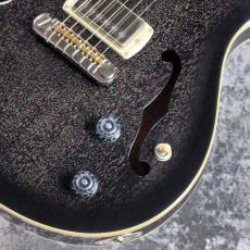 Paul Reed Smith [PRS] SE HOLLOWBODY STANDARD ~Dog Hair Smokeburst~ #CTI I04106 [2.67kg][2026年製]_4