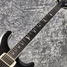 Paul Reed Smith [PRS] SE HOLLOWBODY STANDARD ~Dog Hair Smokeburst~ #CTI I04106 [2.67kg][2026年製]_5
