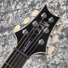 Paul Reed Smith [PRS] SE HOLLOWBODY STANDARD ~Dog Hair Smokeburst~ #CTI I04106 [2.67kg][2026年製]_6