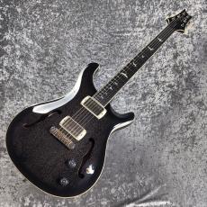 Paul Reed Smith [PRS] SE HOLLOWBODY STANDARD ~Dog Hair Smokeburst~ #CTI I04106 [2.67kg][2026年製]_9