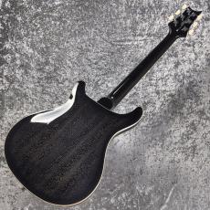 Paul Reed Smith [PRS] SE HOLLOWBODY STANDARD ~Dog Hair Smokeburst~ #CTI I04106 [2.67kg][2026年製]_11