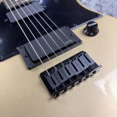 Fender Limited Edition Jim Root Telecaster -Shoreline Gold-  #MX26051298 -3.91kg-_2