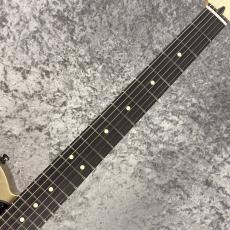 Fender Limited Edition Jim Root Telecaster -Shoreline Gold-  #MX26051298 -3.91kg-_4