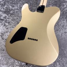 Fender Limited Edition Jim Root Telecaster -Shoreline Gold-  #MX26051298 -3.91kg-_6