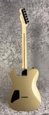 Fender Limited Edition Jim Root Telecaster -Shoreline Gold-  #MX26051298 -3.91kg-_7