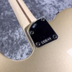 Fender Limited Edition Jim Root Telecaster -Shoreline Gold-  #MX26051298 -3.91kg-_8