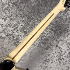 Fender Limited Edition Jim Root Telecaster -Shoreline Gold-  #MX26051298 -3.91kg-_9