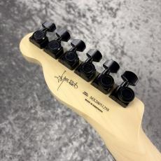 Fender Limited Edition Jim Root Telecaster -Shoreline Gold-  #MX26051298 -3.91kg-_10