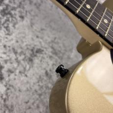 Fender Limited Edition Jim Root Telecaster -Shoreline Gold-  #MX26051298 -3.91kg-_11