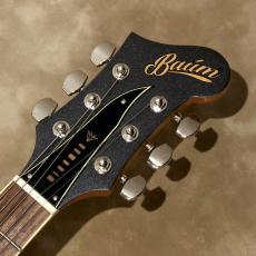 Baum Guitars Wingman, Dark Moon_4