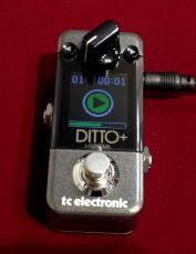 tc electronic DITTO+
