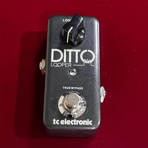 tc electronic DITTO LOOPER