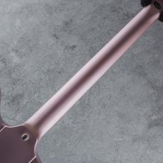Epiphone Inspired by Gibson Custom 1963 Firebird I Heather Poly【S/N 23111529721】_6
