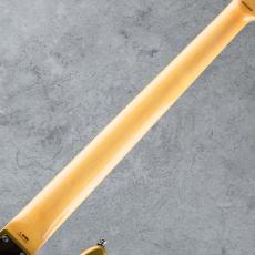 BEE WING Standard 5-Strings / SWAMP ASH / GOLD_7