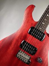 Paul Reed Smith [PRS] SE CE24 Standard Stain  -Vintage Cherry- 【3.13kg】2026年製 #0154_3
