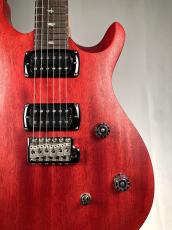 Paul Reed Smith [PRS] SE CE24 Standard Stain  -Vintage Cherry- 【3.13kg】2026年製 #0154_4