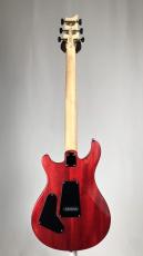 Paul Reed Smith [PRS] SE CE24 Standard Stain  -Vintage Cherry- 【3.13kg】2026年製 #0154_10