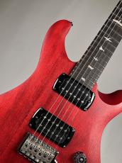 Paul Reed Smith [PRS] SE CE24 Standard Stain  -Vintage Cherry- 【3.07kg】2026年製 #0249_3