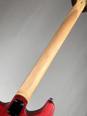 Paul Reed Smith [PRS] SE CE24 Standard Stain  -Vintage Cherry- 【3.07kg】2026年製 #0249_11