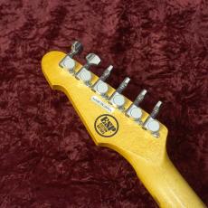 ESP Jake E Lee Signature_9