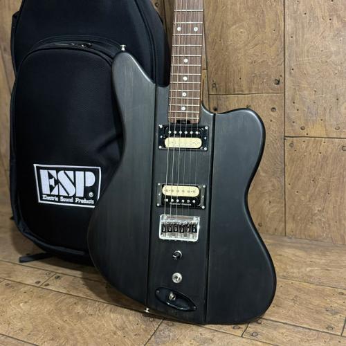 Edwards KARMASTER  【週末限定特価】