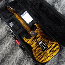 SAITO GUITARS S-622CS Beyond Kin Oni_6