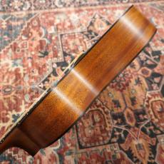 Martin GPC-16E-02 Mahogany【エレアコ】_9