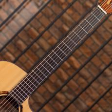 Julian Gaffney Modified-D Cutaway Madagascar Rosewood / 2019_7