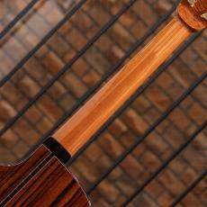 Julian Gaffney Modified-D Cutaway Madagascar Rosewood / 2019_8