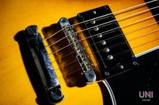 Gibson ES-335 / 2012_7