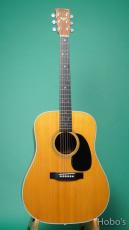 Martin D-76_2