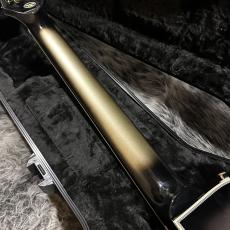 Epiphone Adam Jones Les Paul Custom Art Collection: Mark Ryden's "Queen Bee"_7