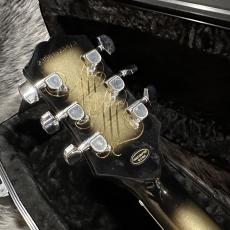 Epiphone Adam Jones Les Paul Custom Art Collection: Mark Ryden's "Queen Bee"_8