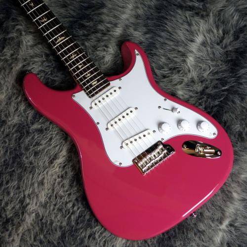 Paul Reed Smith [PRS] SE Silver Sky Dragon Fruit