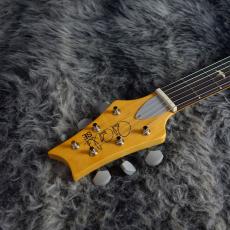Paul Reed Smith [PRS] SE Silver Sky Dragon Fruit_4