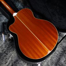 Paul Reed Smith [PRS] SE Angelus Standard 2012_6