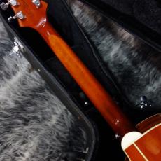 Paul Reed Smith [PRS] SE Angelus Standard 2012_7