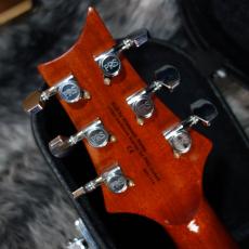 Paul Reed Smith [PRS] SE Angelus Standard 2012_8