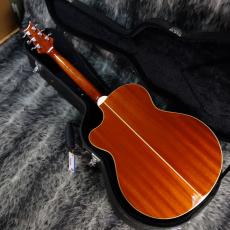 Paul Reed Smith [PRS] SE Angelus Standard 2012_9