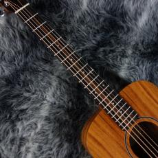 Taylor Baby Taylor Mahogany (BT-2)_2