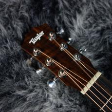 Taylor Baby Taylor Mahogany (BT-2)_3