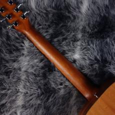 Taylor Baby Taylor Mahogany (BT-2)_6
