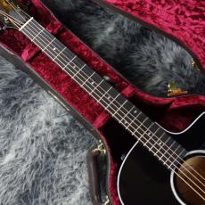 Taylor 214ce DLX BLK_3