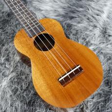 Kamaka HF-1_2